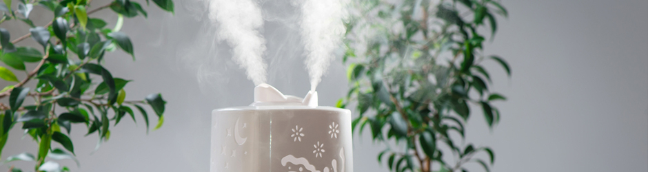 Nawilżanie powietrza w mieszkaniu jest szczególnie ważne zimą