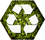 Bosch Sustainability Icon