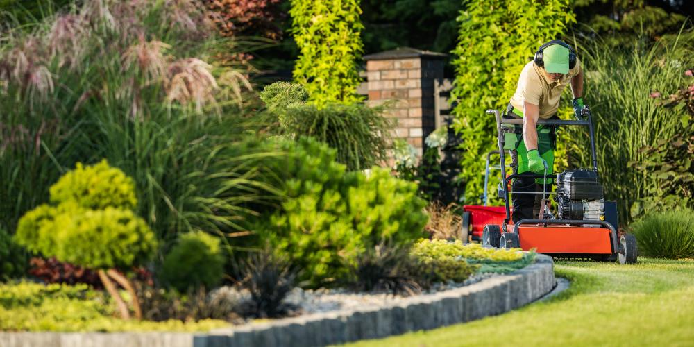 Aerator-wertykulator