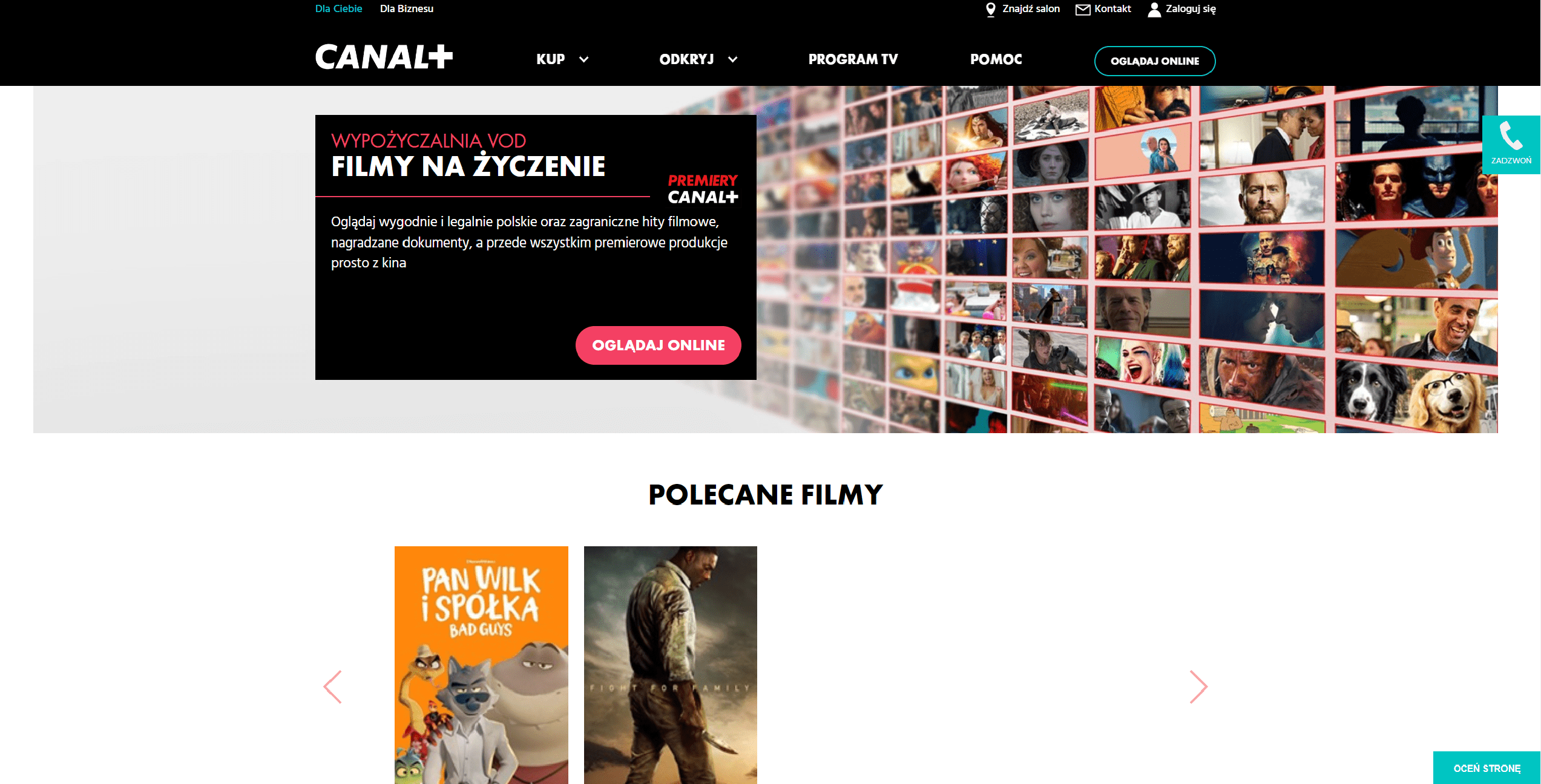 Polskie serwisy VOD –