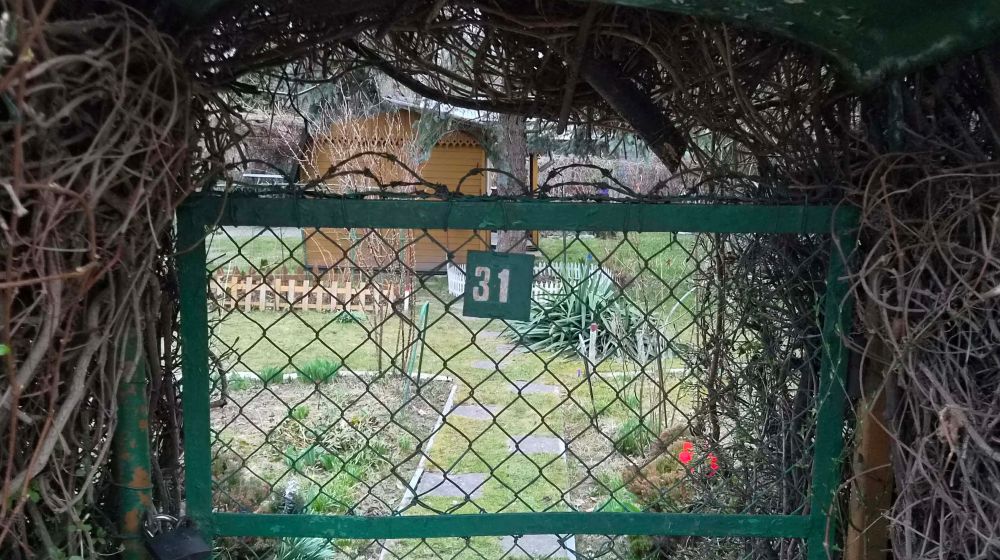 furtka ogr&oacute;dka z numerem 31 na środku