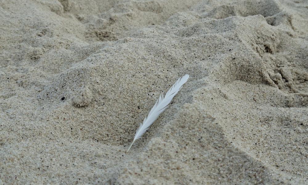 białe pi&oacute;ro na piasku na plaży