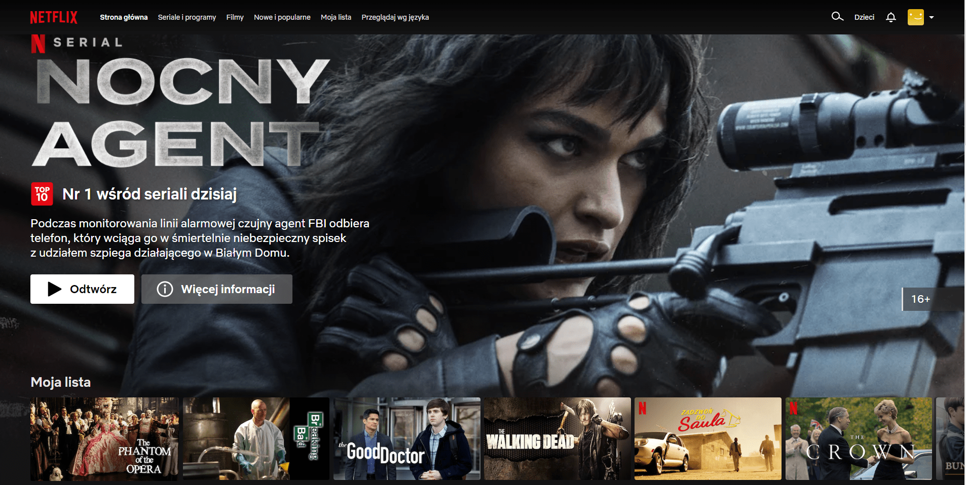 bardzo bogata, wiele własnych produkcji; flagowe tytuły to m.in.: „Na zachodzie bez zmian”, „Pinokio” (del Toro), „Wednesday”, „Zadzwoń do Saula”, „Narcos”, „Stranger Things”, „Dark”, „Crown”, „Dom z papieru”.