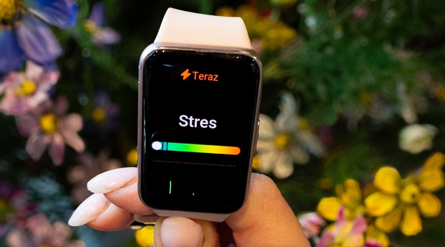 Samsung Galaxy Fit 3