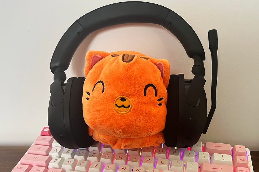 pluszak słucha muzyki na inzone 5h