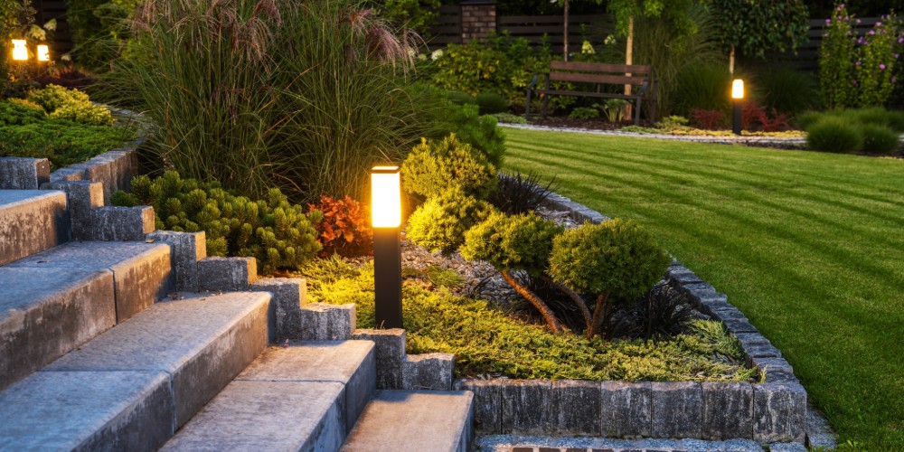 Trawnik po wertykulacji