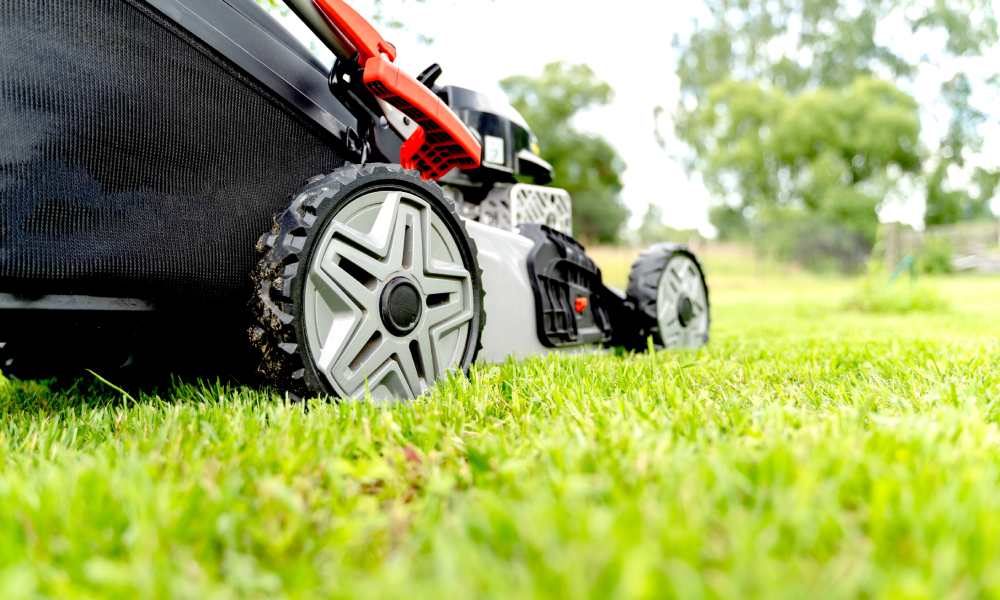 Dlaczego nie powinno się kosić mokrej trawy kosiarką ani podkaszarką.