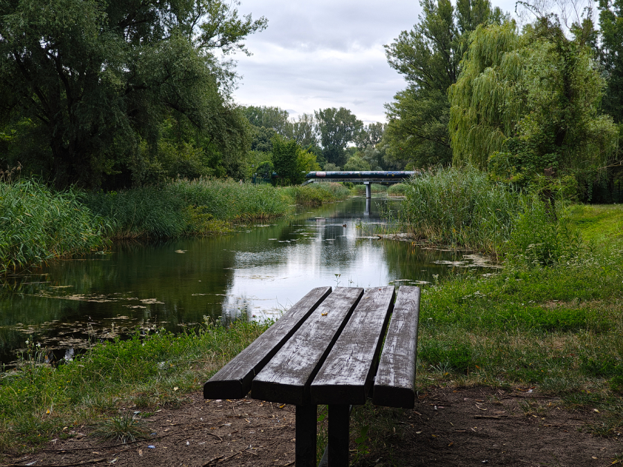 samotna lawka w parku kepa potocka foto wykonane motorola razr 50 ultra