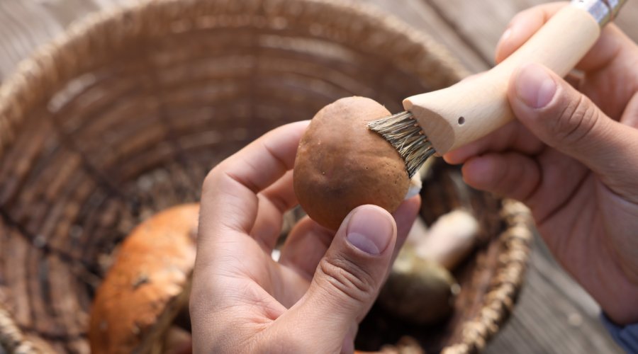 czyszczenie grzybów