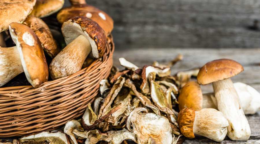 grzyby w koszyku