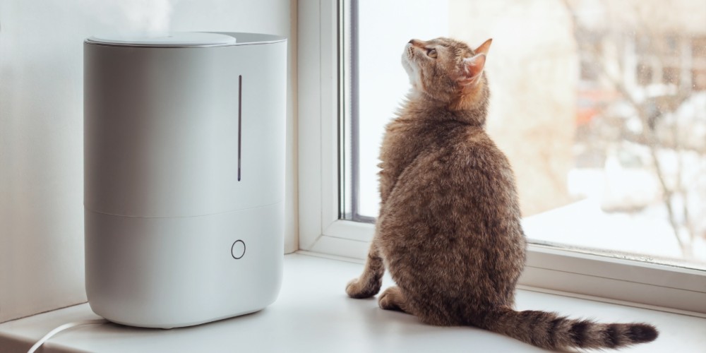Nawilżacz powietrza z jonizacją i kot