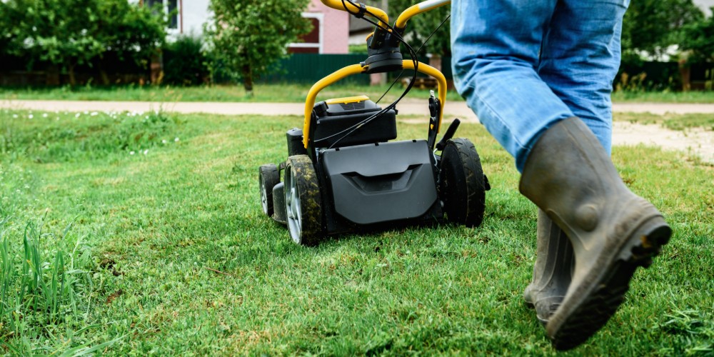 Kiedy pierwsze koszenie trawy na wiosnę