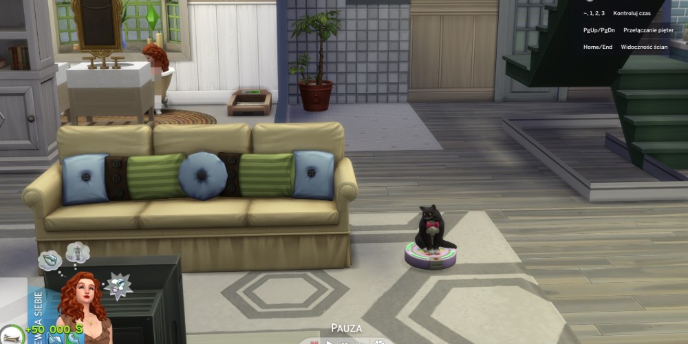 Kot jeżdżący na robocie sprzątającym