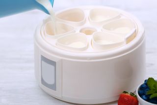 Wlewanie mleka do jogurtownicy na 6 pojemniczków
