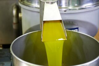 proces tłoczenia oleju z prasy