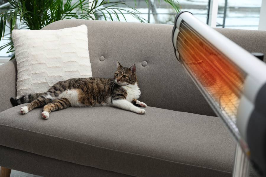 Niezależnie od tego, gdzie i w jakim celu wykorzystywane jest promieniowanie, w każdej sytuacji stosowany jest promiennik podczerwieni.