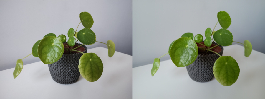 Identyczny wynik daje test wewnętrzny. Zdjęcia robię przy identycznych warunkach oświetleniowych