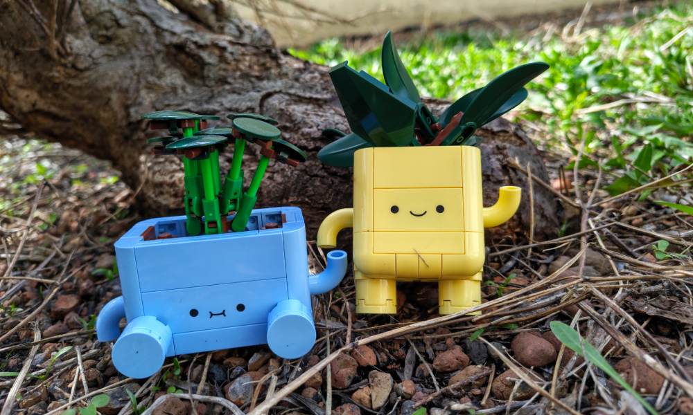 zdjęcie wykonane smartfonem motorola edge 70 fusion