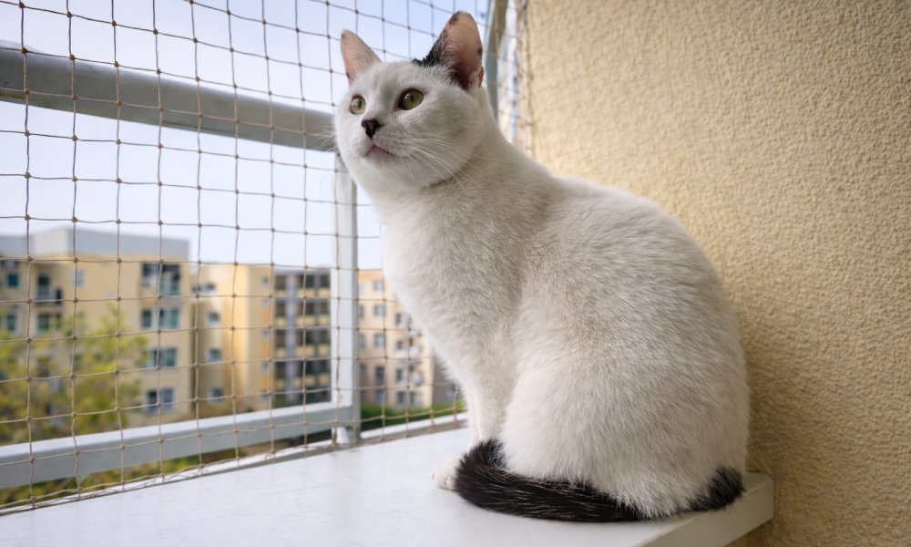 zdjęcie wykonane smartfonem motorola edge 70 fusion