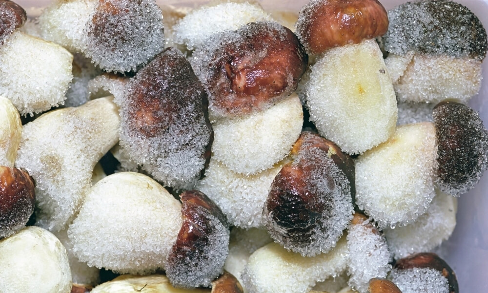 Mrożone prawdziwki, czyli borowiki