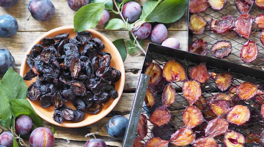 suszące się śliwki