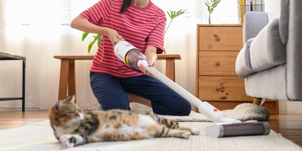 Pionowy odkurzacz bezprzewodowy z funkcją mycia podłogi i leżący kot.