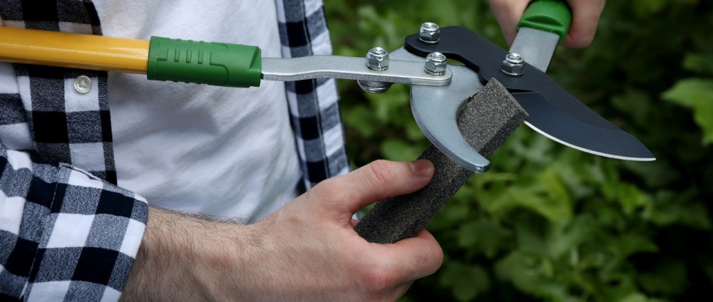 ostrzenie sekatora ręcznego przez mężczyznę w zielonej koszuli