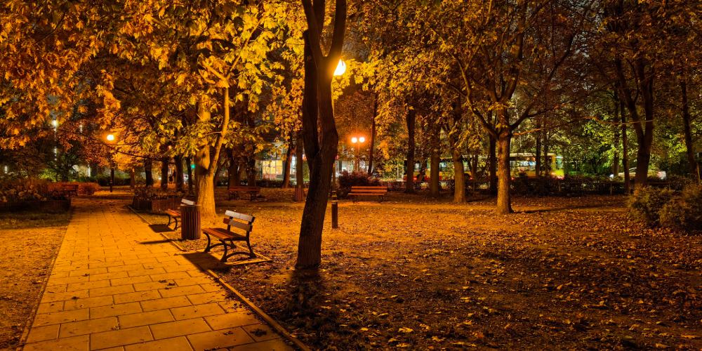 Nocne zdjęcie parku z drzewami telefonem Huawei pura 90s pro max