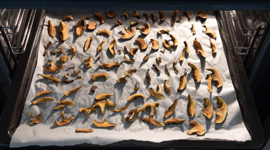 grzyby suszone w piekarniku