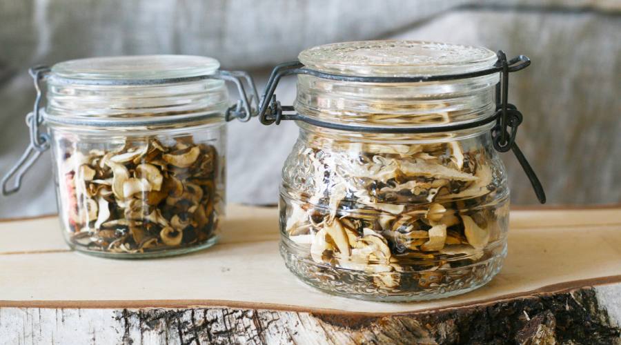suszone grzyby w słoikach