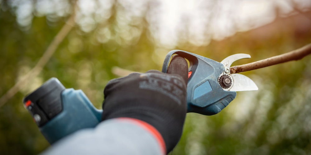 niebieski sekator akumulatorowy Bosch