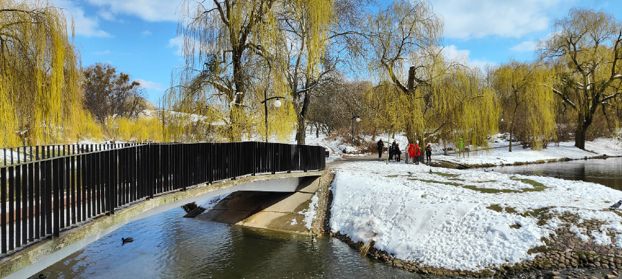 realme gt 2 foto dzien