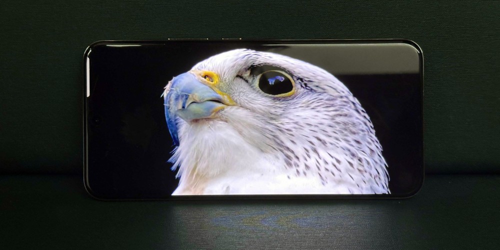 ekran oled z jasnym białym orłem na czarnym tle