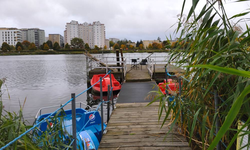 zdjęcie krajobrazu wykonane xiaomi 15t