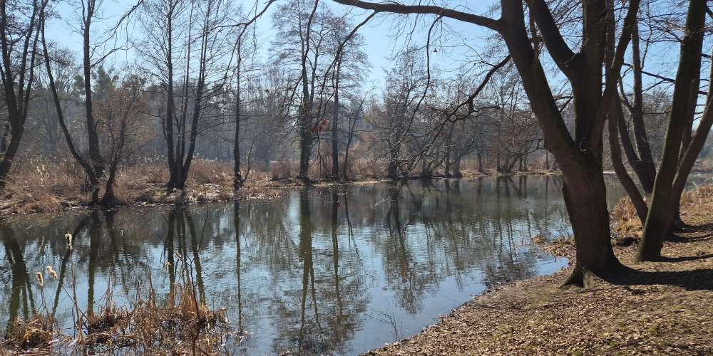 Pejzaż w parku z rzeką i drzewami na zdjęciu z samsunga galaxy s26+