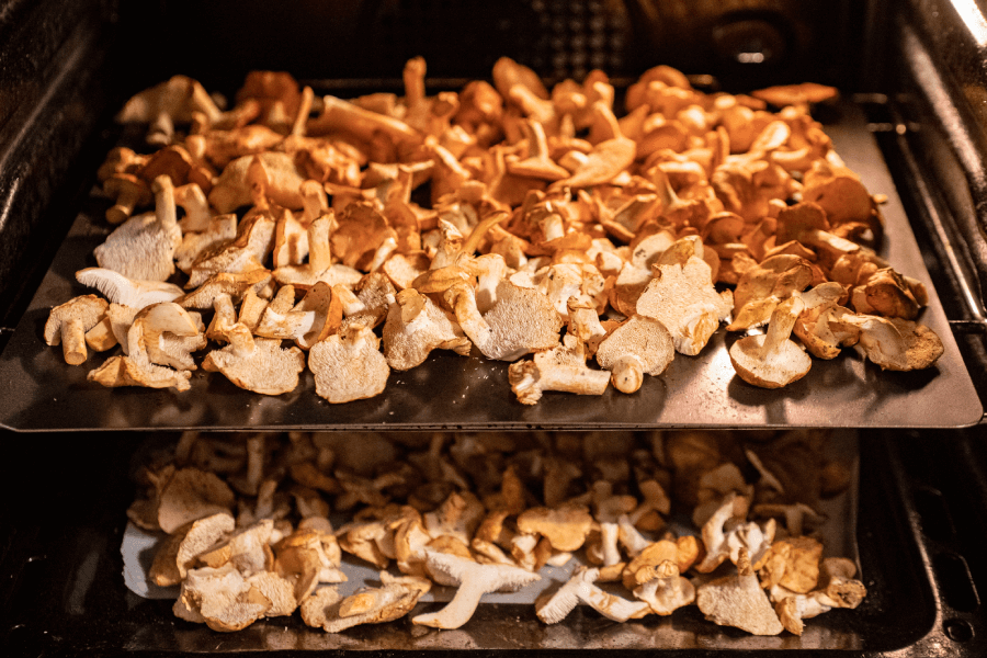 grzyby suszą się w piekarniku