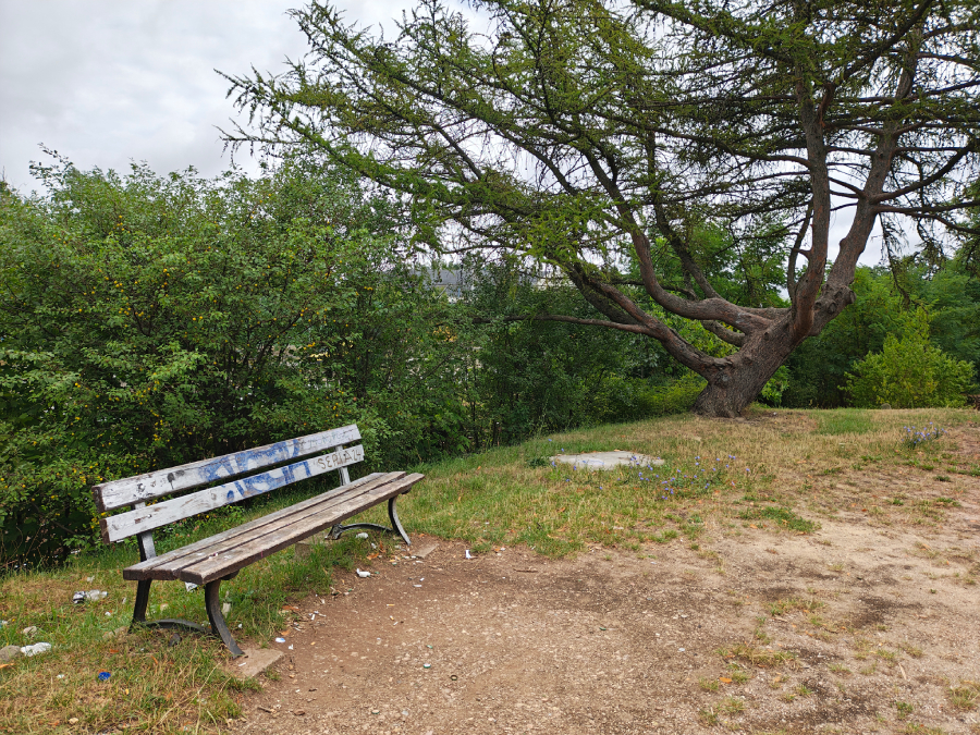 lawka w parku foto wykonane motorola razr 50 ultra