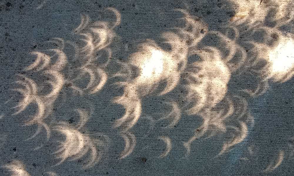 efekt p&oacute;łkuli widoczny przez cienie liści podczas zaćmienia słońca