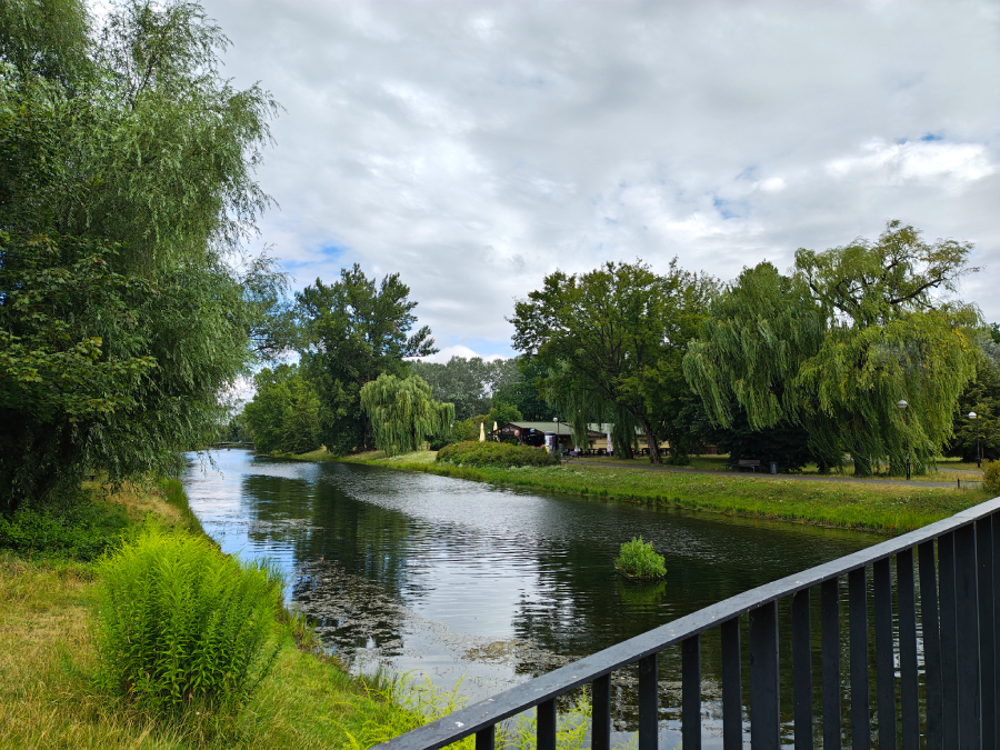 staw kepa potocka foto wykonane motorola razr 50 ultra