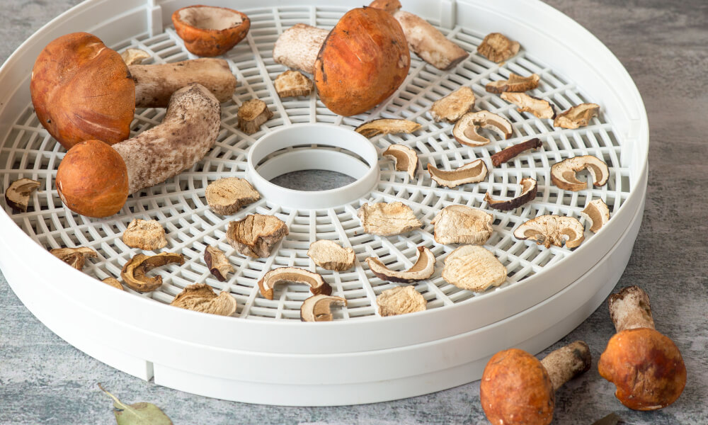 Suszarka do grzybów