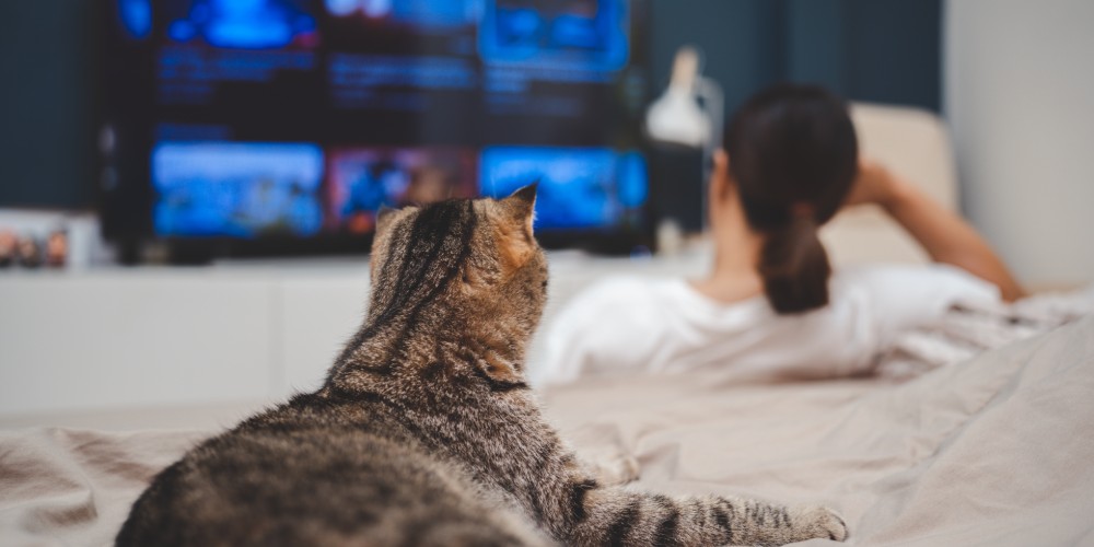 Kobieta oglądająca telewizję w sypialni