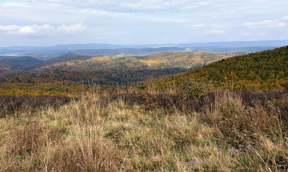 zdjęcie krajobrazu wykonane aparatem w iphone 17