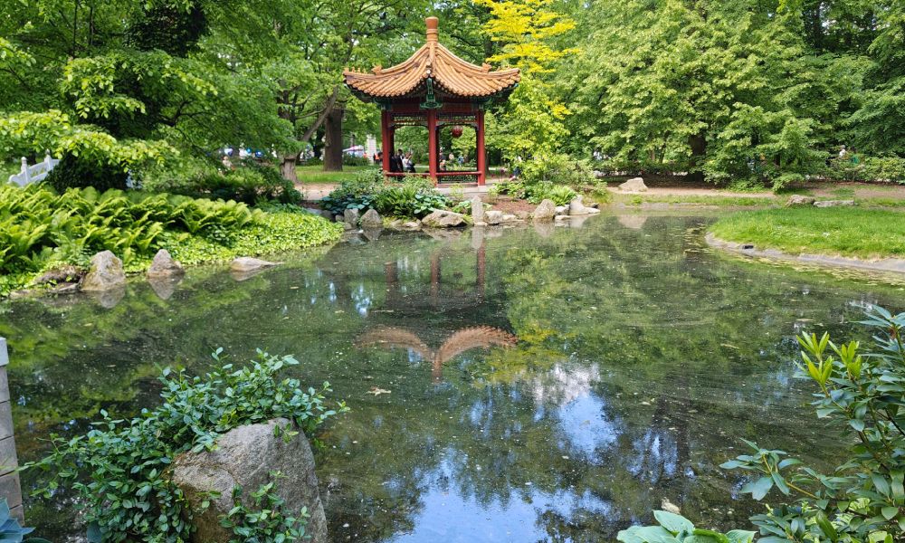 ogr&oacute;d chiński warszawa łazienki