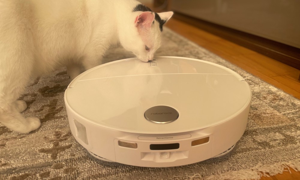 robot sprzątający roborock quervo edge t i kot