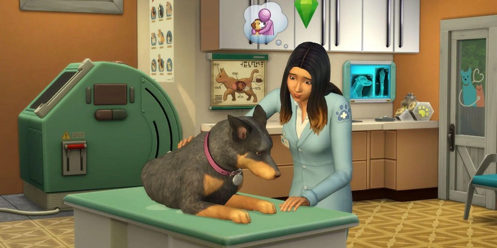 Sim weterynarz badający psa