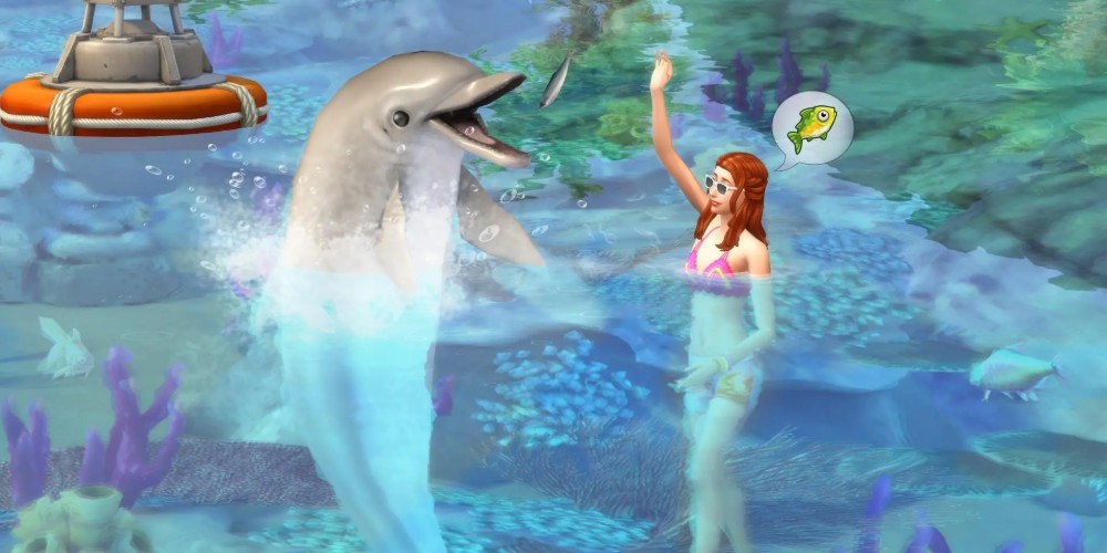 Simka pływająca z delfinem na Sulani