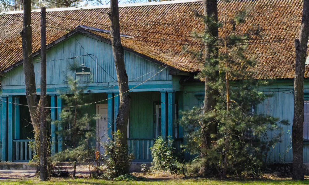 vivo V70 FE zdjęcie zbliżenie