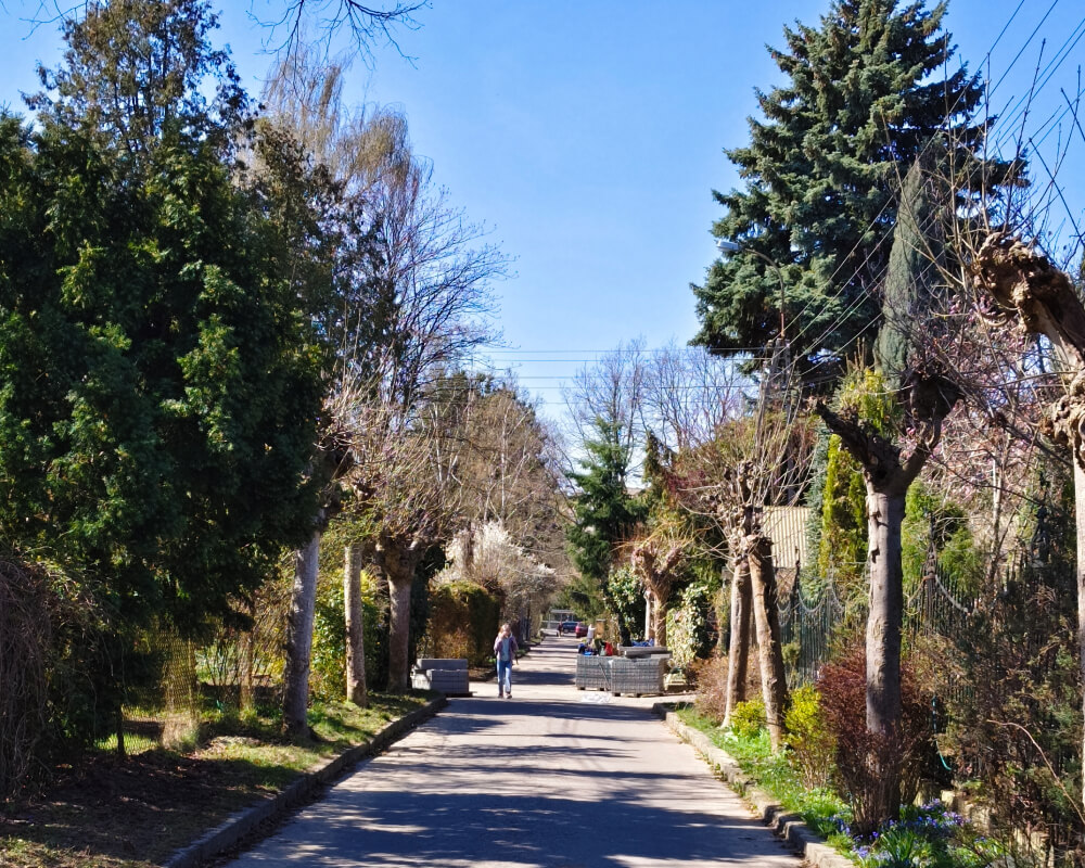 vivo V70 FE zdjęcie ostre słońce