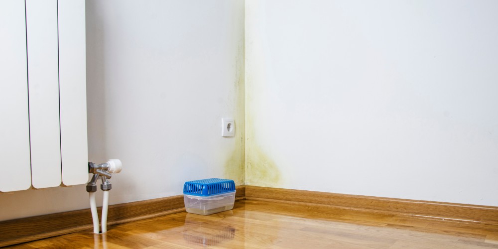 Zawilgocony r&oacute;g pomieszczenia