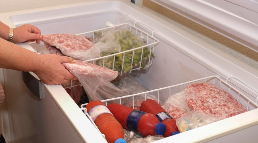 zamrażarka skrzyniowa